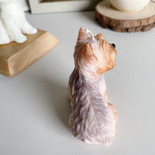 Load image into Gallery viewer, Yorkshire Terrier