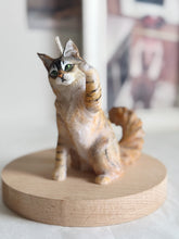 Load image into Gallery viewer, Maine Coon