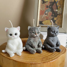 Load image into Gallery viewer, Mini Cat