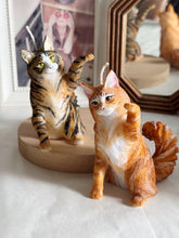 Load image into Gallery viewer, Maine Coon