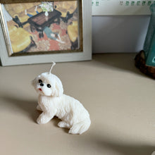 Load image into Gallery viewer, Shin Tzu - Design 2