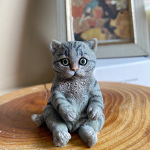 Load image into Gallery viewer, Mini Cat