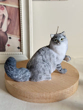 Load image into Gallery viewer, Cat - Design 4