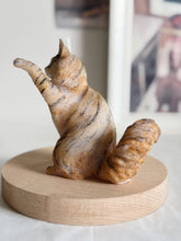 Load image into Gallery viewer, Maine Coon