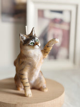 Load image into Gallery viewer, Maine Coon