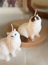 Load image into Gallery viewer, Cat - Design 5