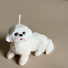 Load image into Gallery viewer, Shin Tzu - Design 2