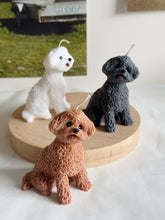 Load image into Gallery viewer, My Mini Coco