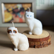 Load image into Gallery viewer, Rag-doll Cat