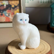 Load image into Gallery viewer, Rag-doll Cat