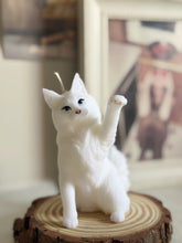 Load image into Gallery viewer, Maine Coon