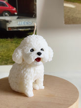 Load image into Gallery viewer, Bichon