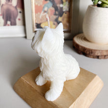 Load image into Gallery viewer, Yorkshire Terrier