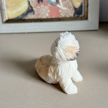 Load image into Gallery viewer, Shin Tzu - Design 2