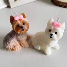 Load image into Gallery viewer, Yorkshire Terrier