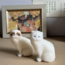 Load image into Gallery viewer, Rag-doll Cat