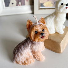 Load image into Gallery viewer, Yorkshire Terrier