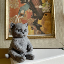 Load image into Gallery viewer, Mini Cat