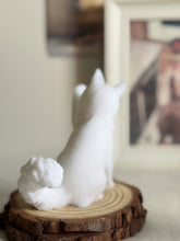 Load image into Gallery viewer, Maine Coon