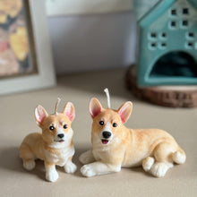 Load image into Gallery viewer, Corgi