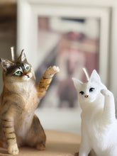 Load image into Gallery viewer, Maine Coon