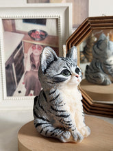 Load image into Gallery viewer, Kitten