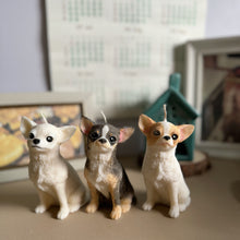 Load image into Gallery viewer, Short Hair Chihuahua