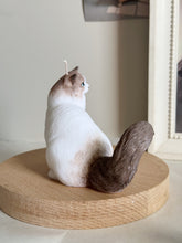 Load image into Gallery viewer, Cat - Design 4