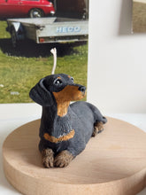 Load image into Gallery viewer, Short Hair Dachshund