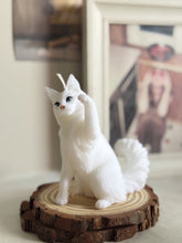 Load image into Gallery viewer, Maine Coon