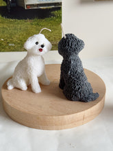 Load image into Gallery viewer, My Mini Coco