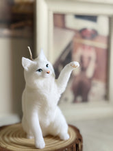 Load image into Gallery viewer, Maine Coon