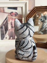 Load image into Gallery viewer, Kitten