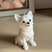 Load image into Gallery viewer, Long Hair Chihuahua