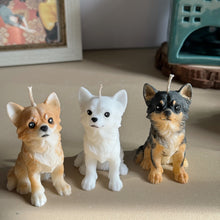 Load image into Gallery viewer, Long Hair Chihuahua