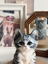 Load image into Gallery viewer, Kitten