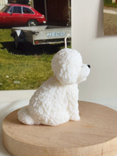 Load image into Gallery viewer, Bichon