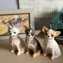 Load image into Gallery viewer, Short Hair Chihuahua