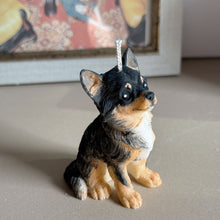 Load image into Gallery viewer, Long Hair Chihuahua