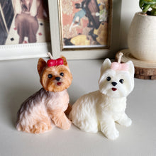 Load image into Gallery viewer, Yorkshire Terrier