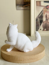 Load image into Gallery viewer, Cat - Design 4