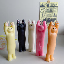 Load image into Gallery viewer, Mai Yuk Cat