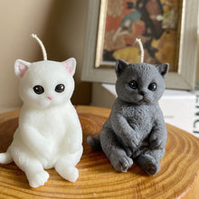 Load image into Gallery viewer, Mini Cat