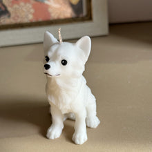 Load image into Gallery viewer, Long Hair Chihuahua