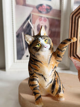 Load image into Gallery viewer, Maine Coon