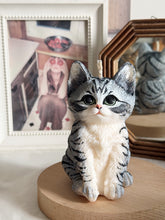 Load image into Gallery viewer, Kitten