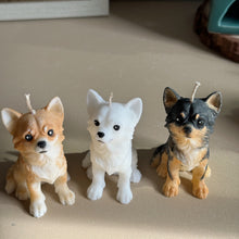 Load image into Gallery viewer, Long Hair Chihuahua