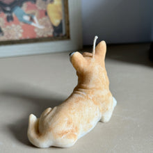 Load image into Gallery viewer, Long Tail Corgi
