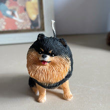 Load image into Gallery viewer, Pomeranian - Design 2