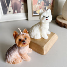 Load image into Gallery viewer, Yorkshire Terrier